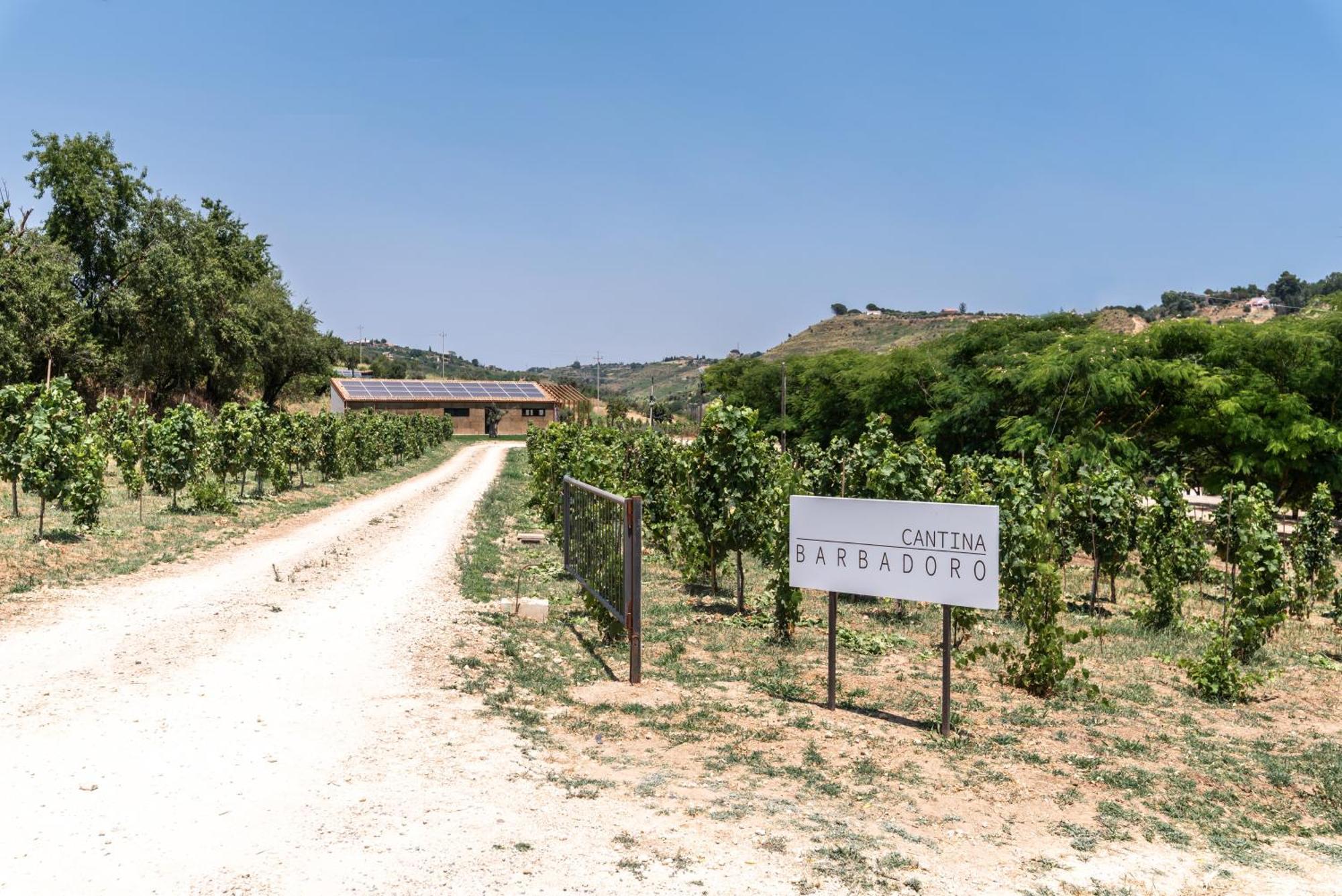 Cottage Immerso Nel Vigneto 칼타기론 외부 사진